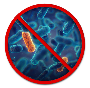 BACTERIA_407x725_cropped Bacteria